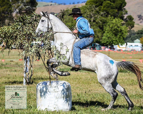 BOB2019_2594