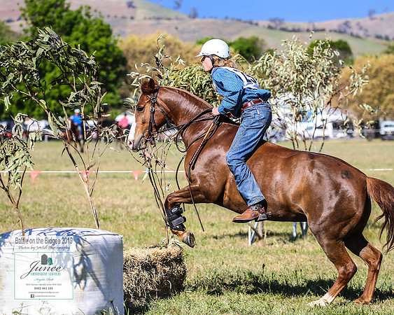 BOB2019_2817