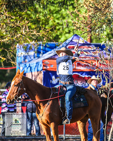 BOTB2019_4207
