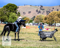 BOB2019_2786
