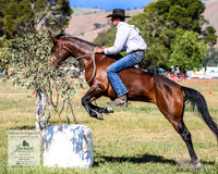 BOB2019_2619
