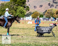 BOB2019_2846
