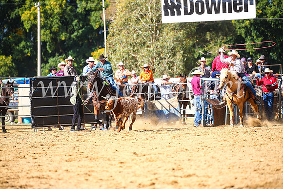 TumutRodeo2017_1893