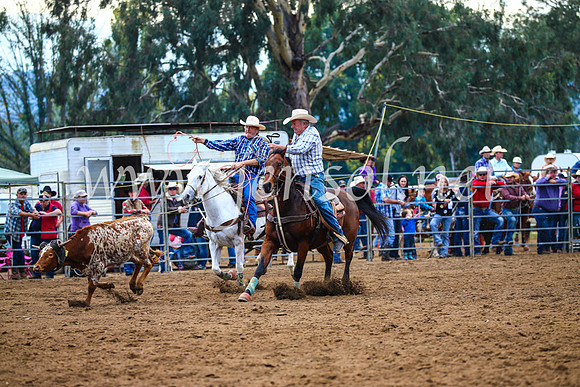 TumutRodeo2017_0317