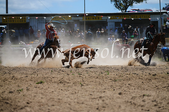 BungendoreRodeo2016-1560