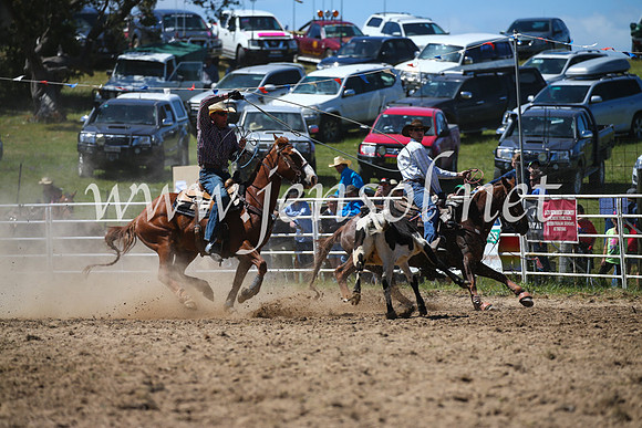 BungendoreRodeo2016-2712