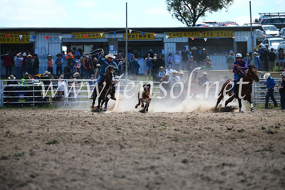 BungendoreRodeo2016-1540