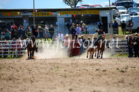 BungendoreRodeo2016-1505