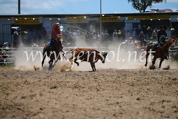 BungendoreRodeo2016-1556