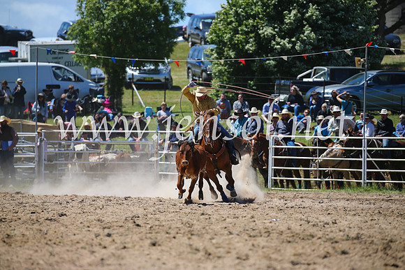 BungendoreRodeo2016-2595