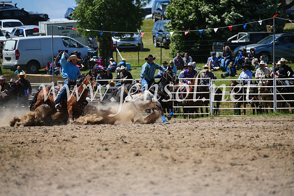 BungendoreRodeo2016-2660