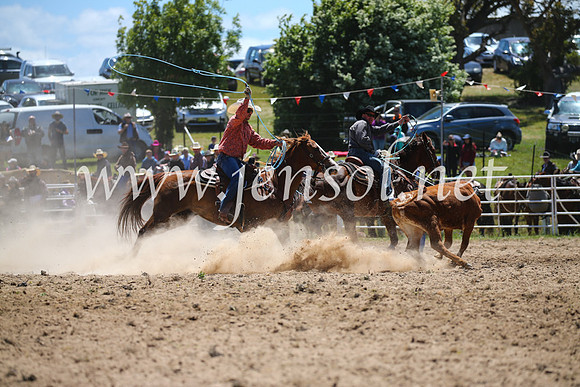 BungendoreRodeo2016-1568