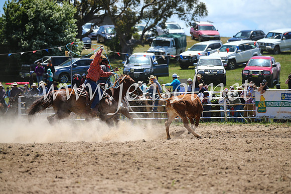 BungendoreRodeo2016-1574