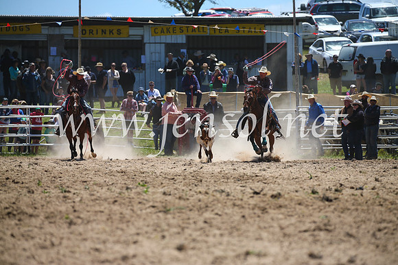 BungendoreRodeo2016-1483