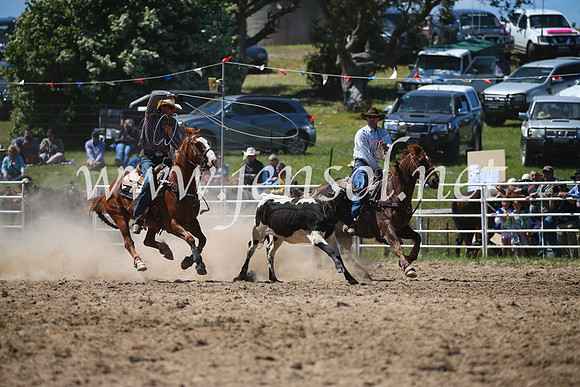 BungendoreRodeo2016-2709
