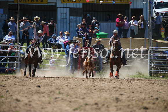 BungendoreRodeo2016-2688