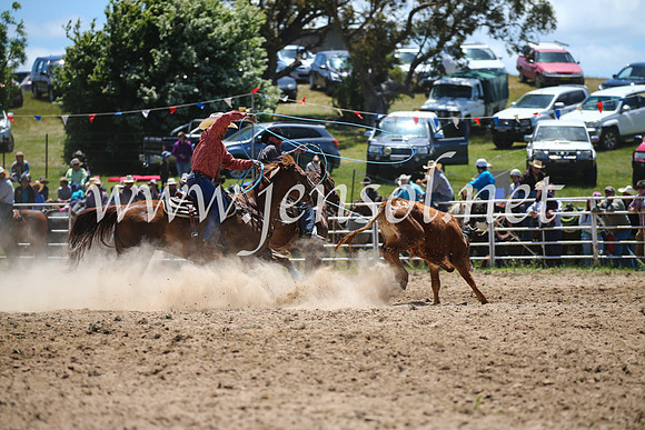 BungendoreRodeo2016-1572