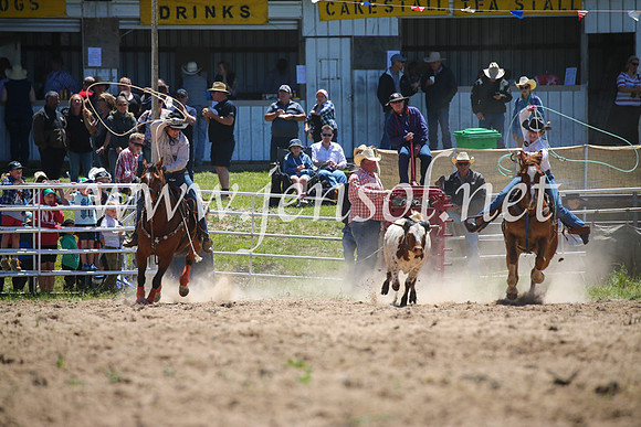 BungendoreRodeo2016-1439