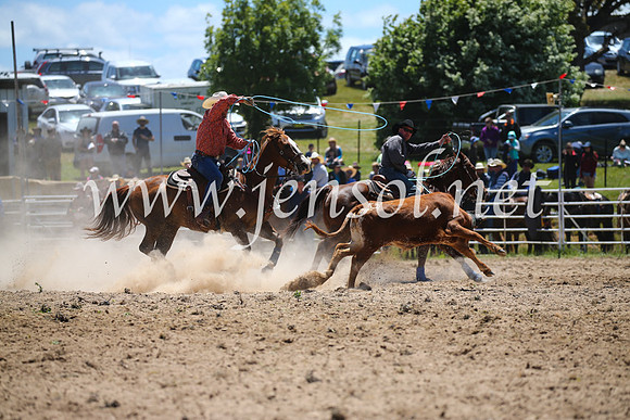 BungendoreRodeo2016-1567