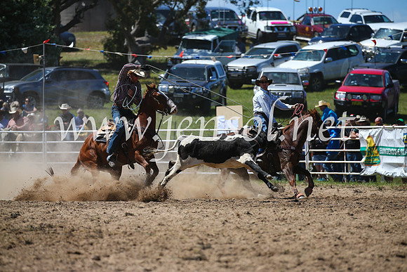 BungendoreRodeo2016-2715