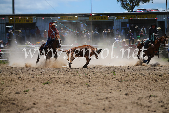 BungendoreRodeo2016-1557