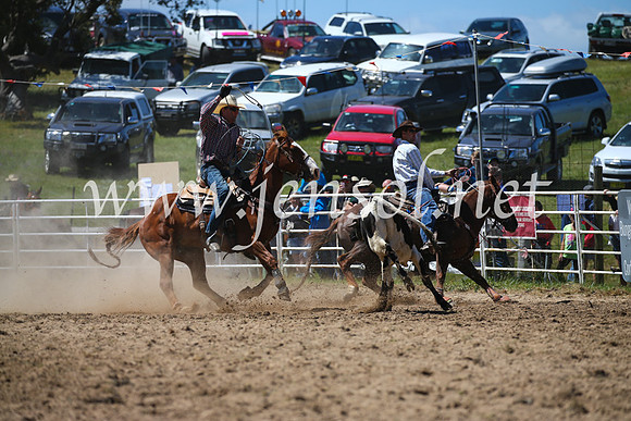 BungendoreRodeo2016-2714