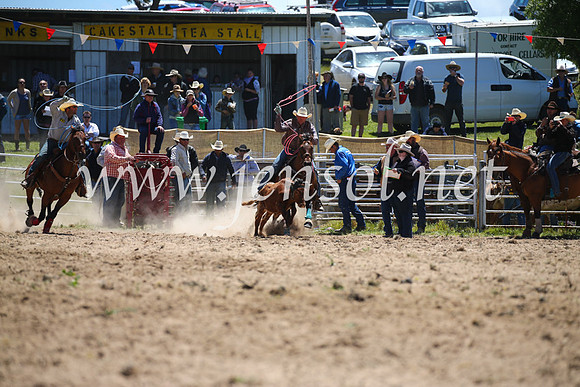 BungendoreRodeo2016-1524