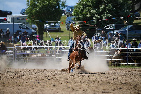 BungendoreRodeo2016-2598