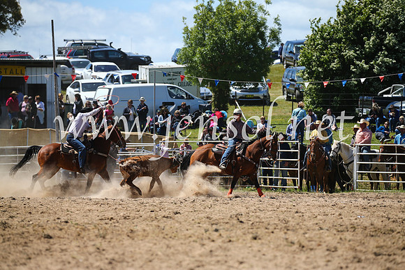 BungendoreRodeo2016-2588