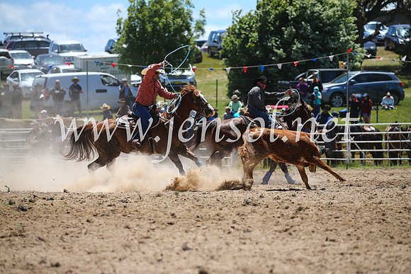 BungendoreRodeo2016-1561