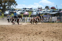 BungendoreRodeo2016-1472