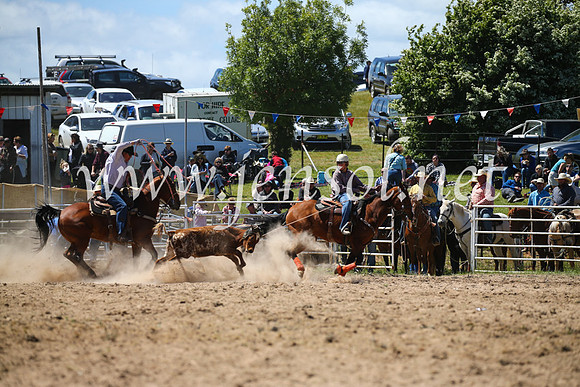 BungendoreRodeo2016-2590