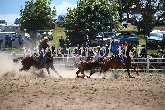 BungendoreRodeo2016-1433