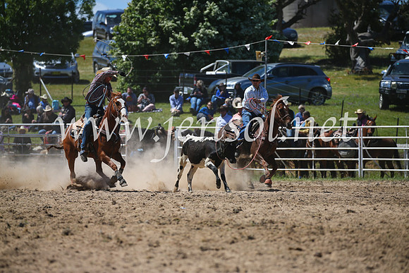 BungendoreRodeo2016-2706