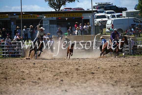 BungendoreRodeo2016-2683