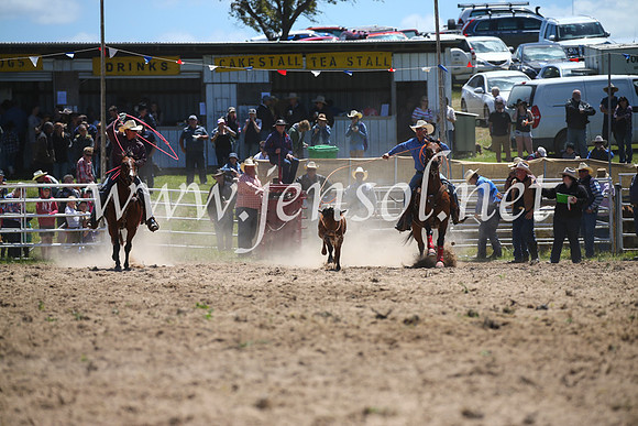 BungendoreRodeo2016-1430
