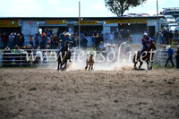 BungendoreRodeo2016-1539