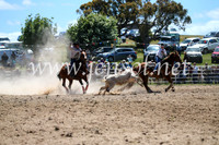BungendoreRodeo2016-1459