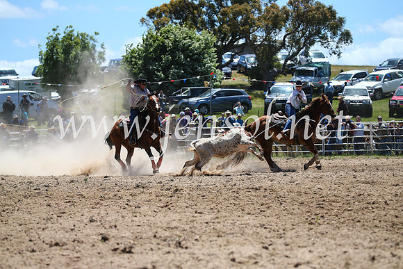 BungendoreRodeo2016-1459