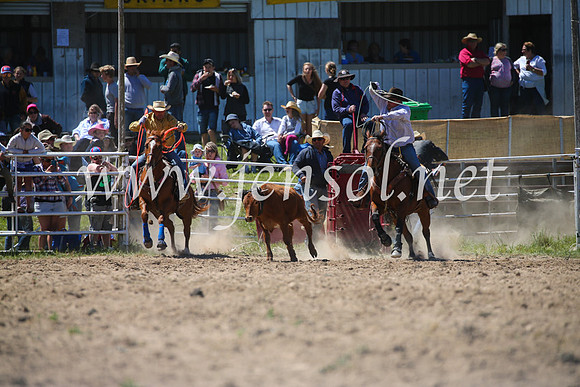 BungendoreRodeo2016-2634