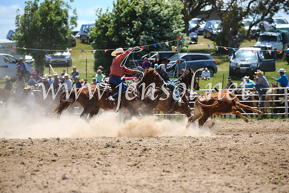 BungendoreRodeo2016-1570