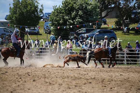 BungendoreRodeo2016-2593