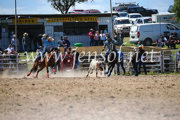 BungendoreRodeo2016-2653