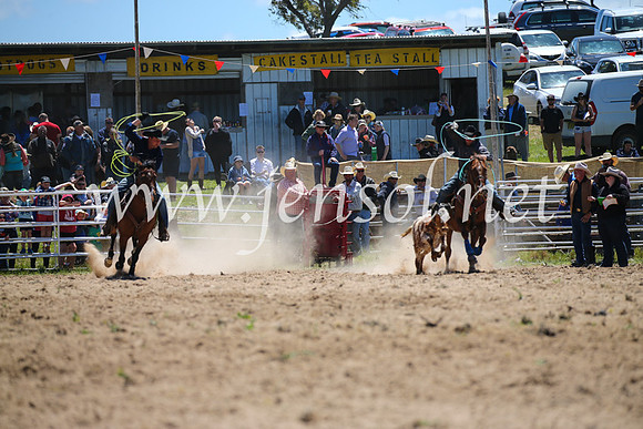 BungendoreRodeo2016-1507