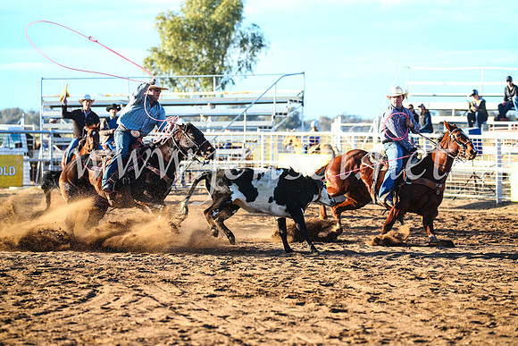 CoonambleRodeoCampdraftSun_1549