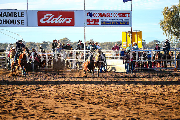 CoonambleRodeoCampdraftSun_1532