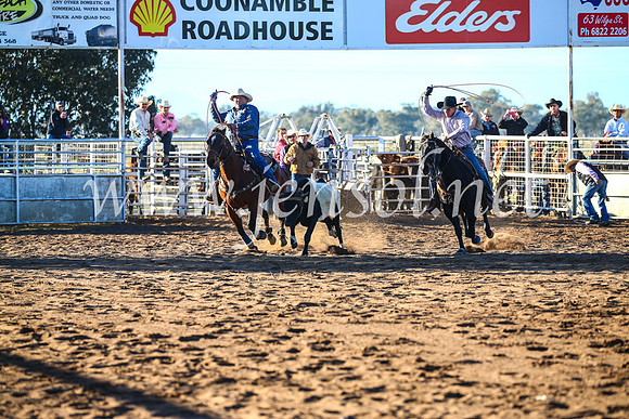 CoonambleRodeoCampdraftSun_1564
