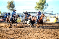 CoonambleRodeoCampdraftSun_1538