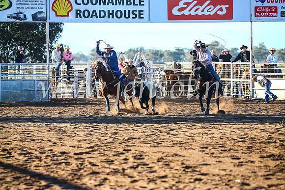 CoonambleRodeoCampdraftSun_1563