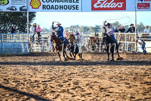 CoonambleRodeoCampdraftSun_1565